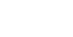 VW Delta