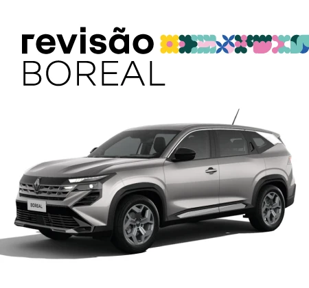 Revisão Programada
