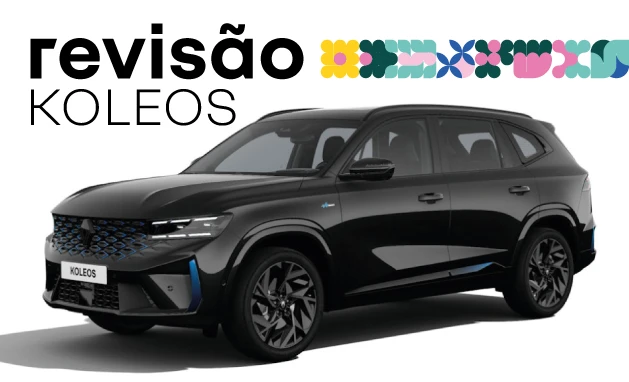 Revisão Programada