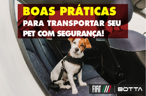 Saiba como transportar seu pet de forma segura! Saiba como transportar seu pet de forma segura!