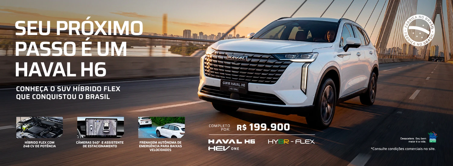 HEV2-bd