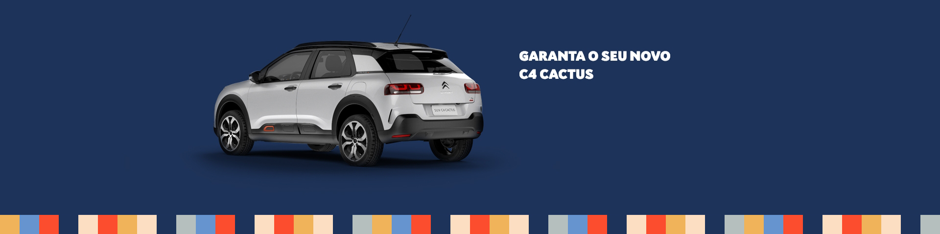 Imagem do C4 Cactus