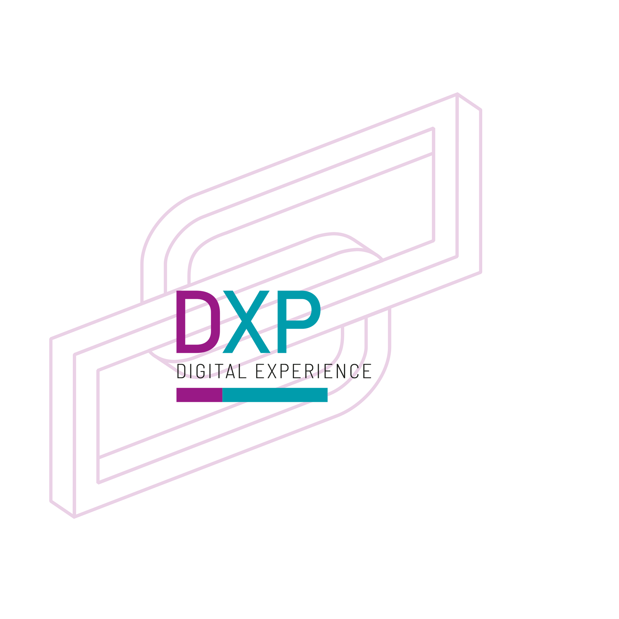 Digital Experience (DXP)