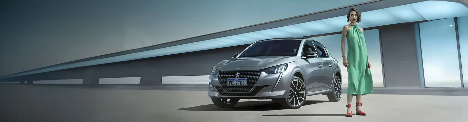 Banner Peugeot Milenium