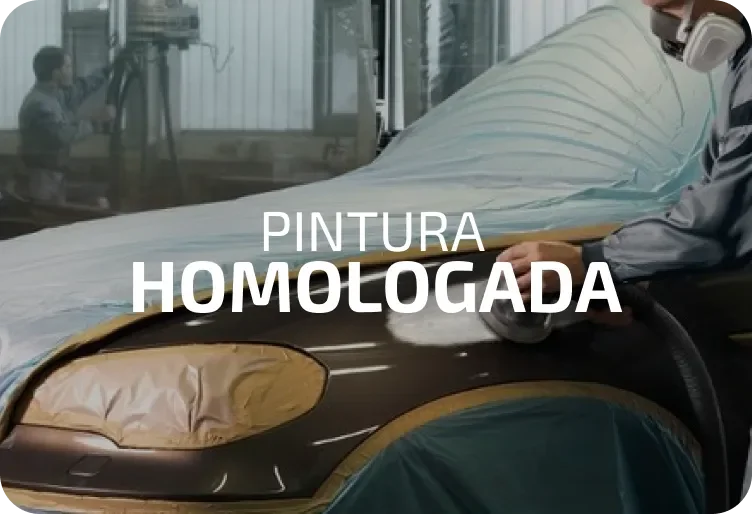 Pintura homologada