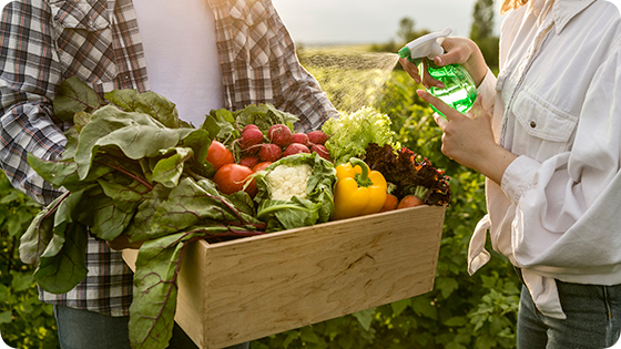 Programa Mais Alimentos Programa Mais Alimentos
