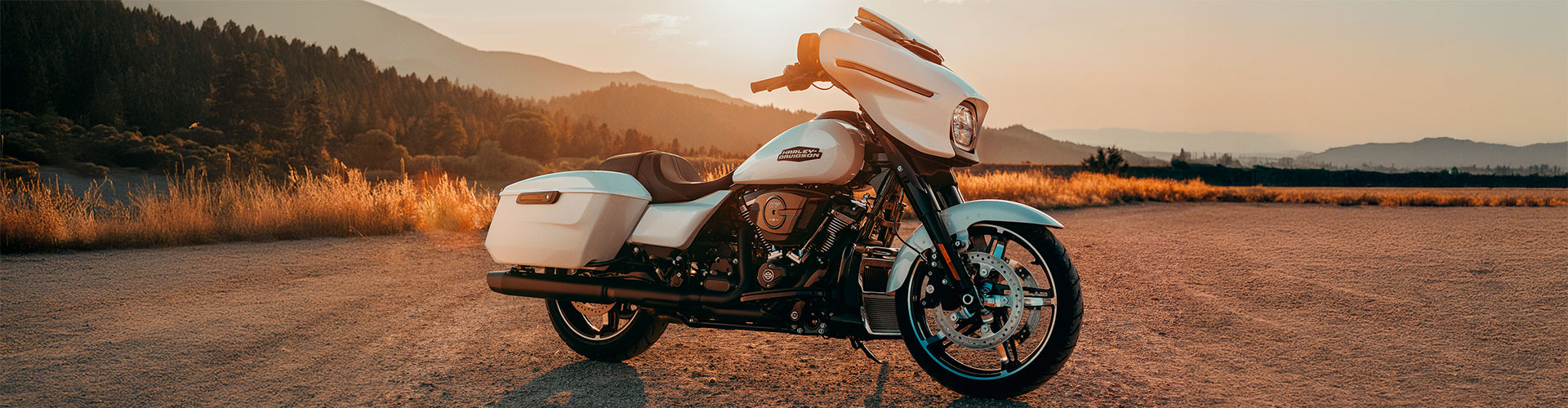 bannerharleyD.jpg?v=1741287008?v=1741287154?v=1741287471?v=1741287601?v=1741287774?v=1741376515?v=1741376732?v=1741376852?v=1741377016?v=1741377161?v=1741379476?v=1771590828?v=17715