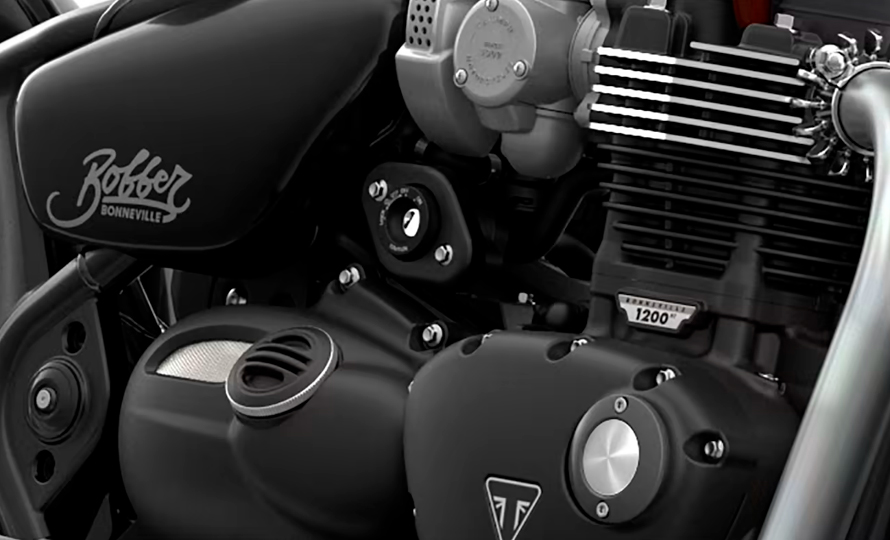 bobber6.jpg?v=1746468645?v=1770813685?v=1770830693?v=1770830786?v=1772552157