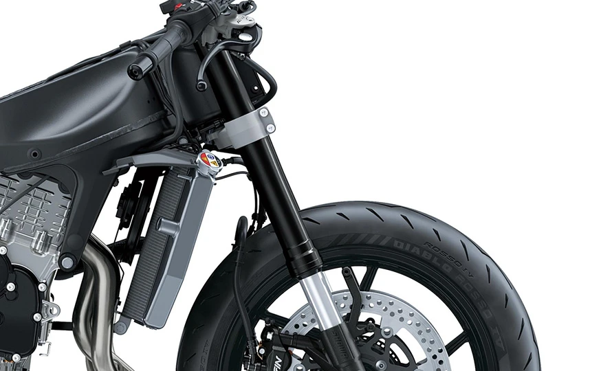 kawasaki_19.webp?v=1786373253