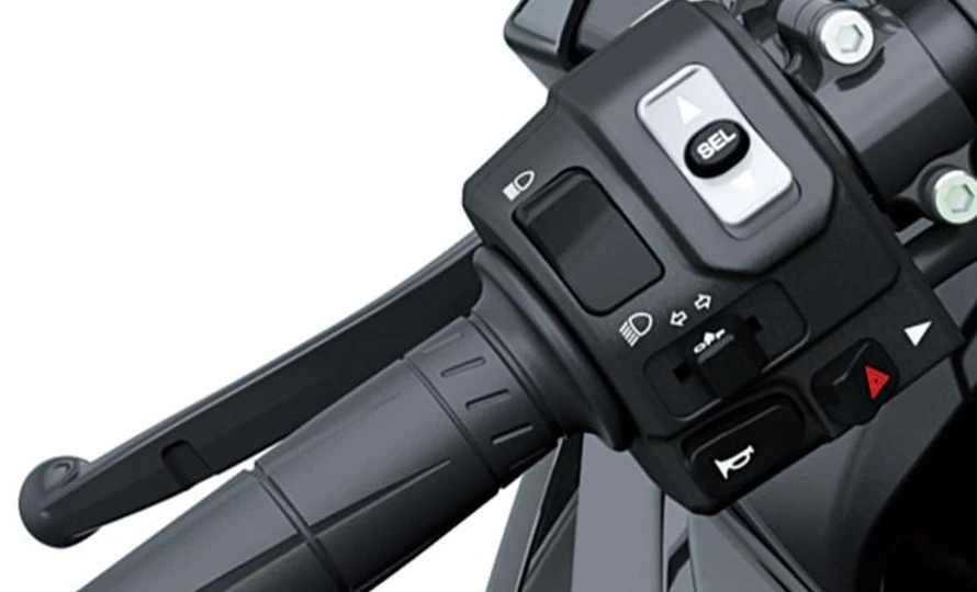 kawasaki_20.webp?v=1786373253