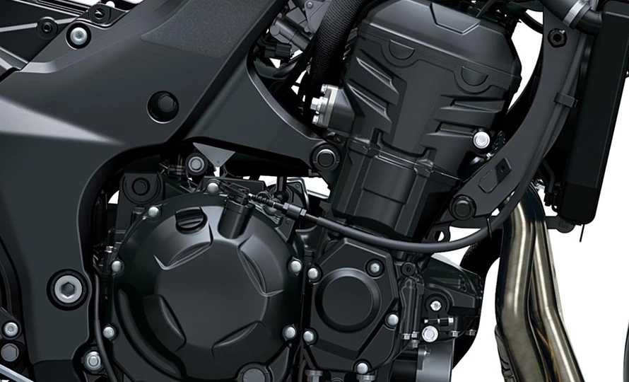 kawasaki_6.webp?v=1786112679