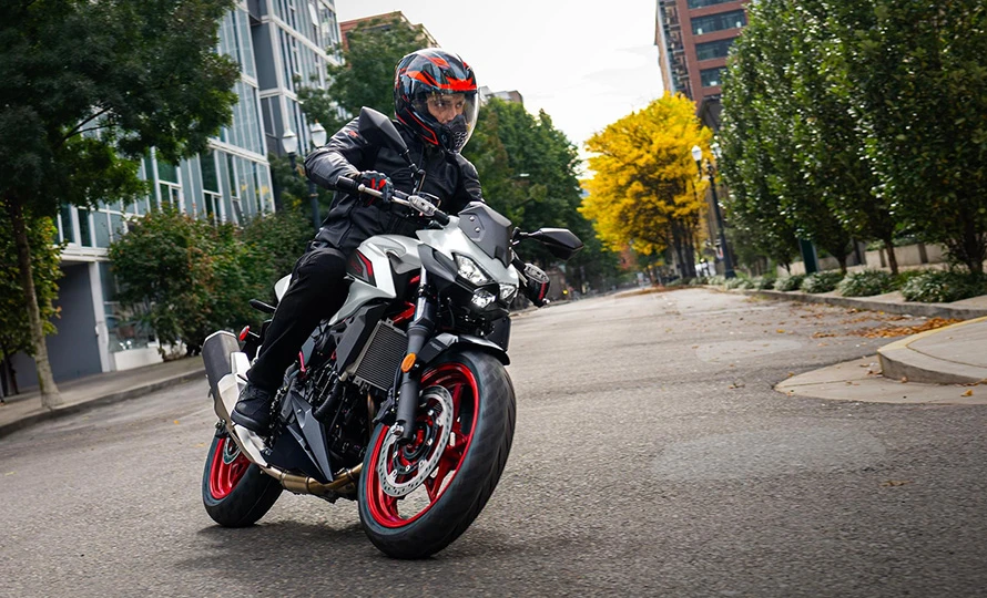 kawasaki_8.webp?v=1786359421?v=1786359527?v=1786359780