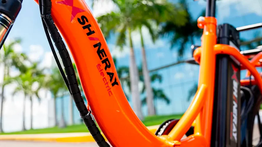 foto890_shineray-e-bike-conteudo-bateria.webp