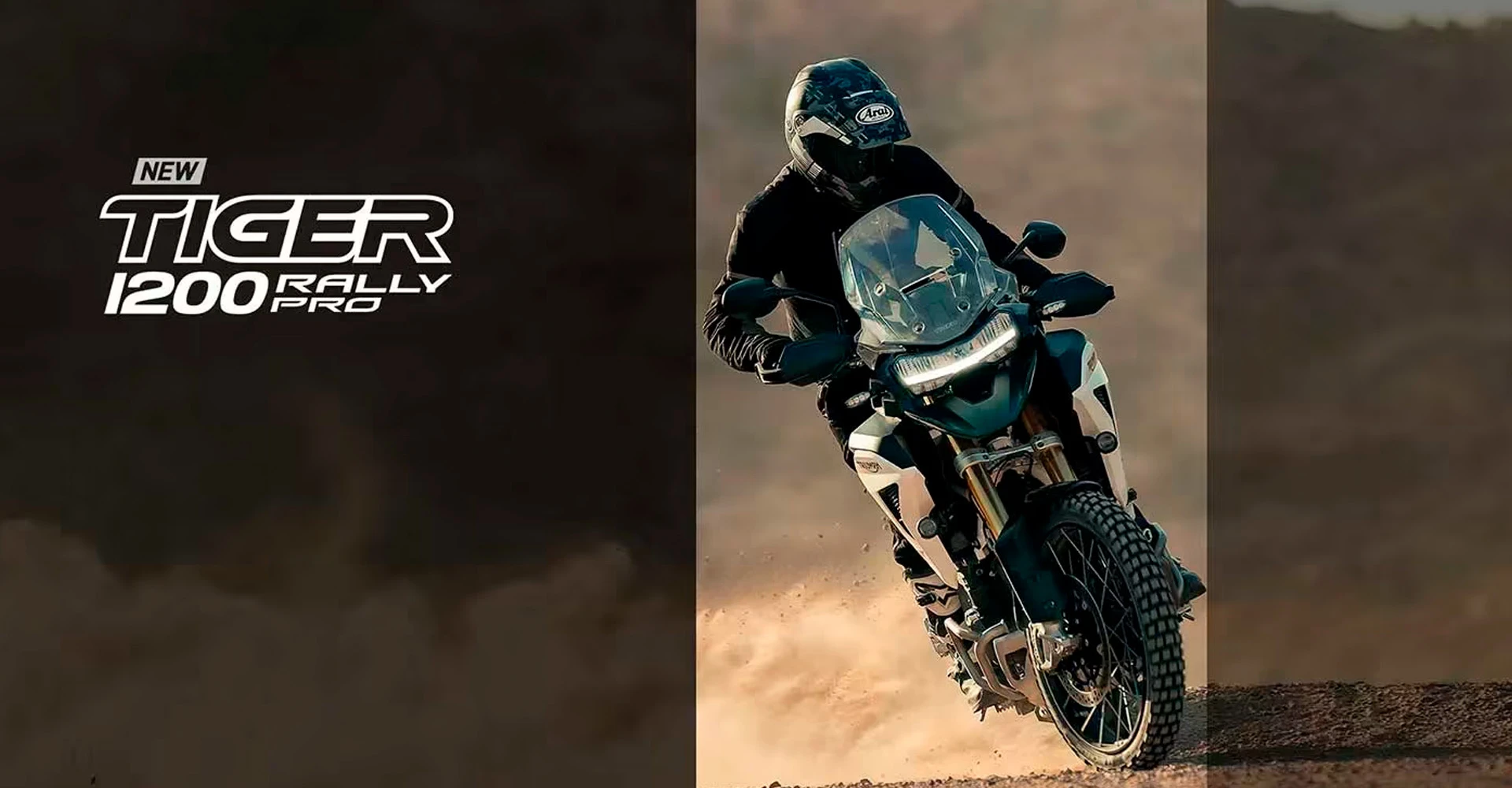 banner_desktop_desk-tiger-1200-rally-explorer.webp