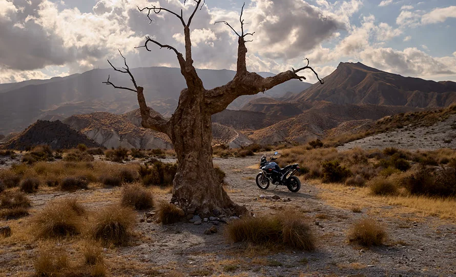 foto890_Tiger_900_Desert_Edition_MY26_CW4I1309_GE_sfsnjr.webp.webp?v=1772738250