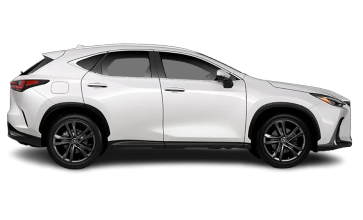 NX 350h Dynamic