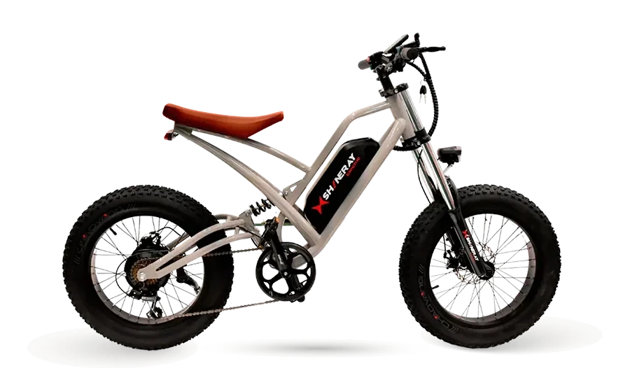 SE-Bike