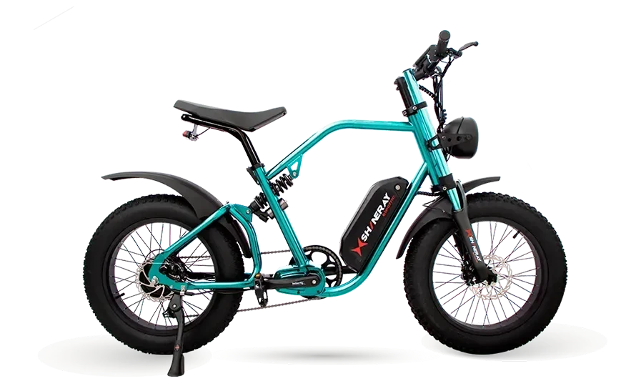 SE-Bike Plus