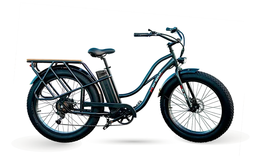 SHI-Bike