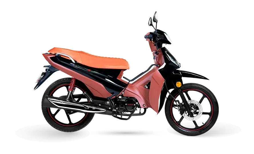 Phoenix S EFI