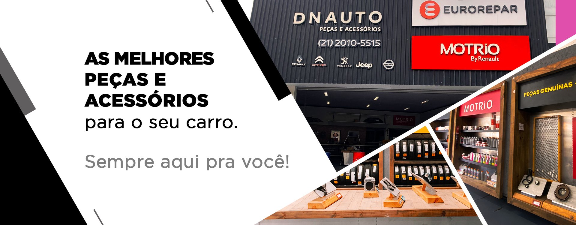 DNAUTO