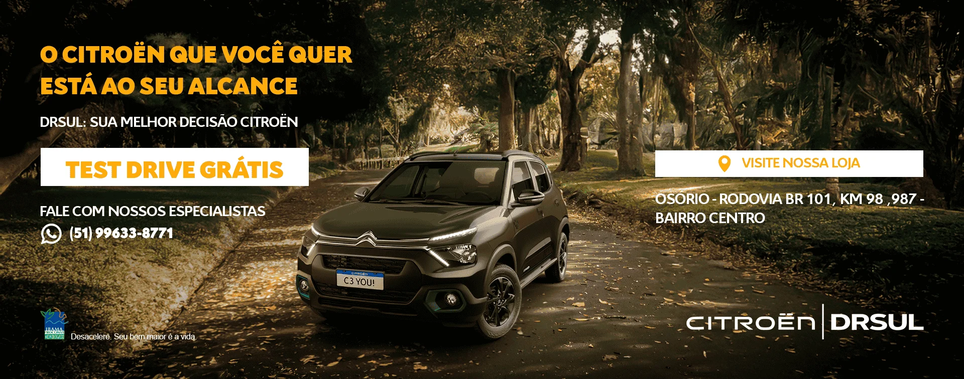 TEST%20DRIVE