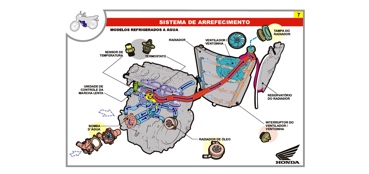 guia_tecnico