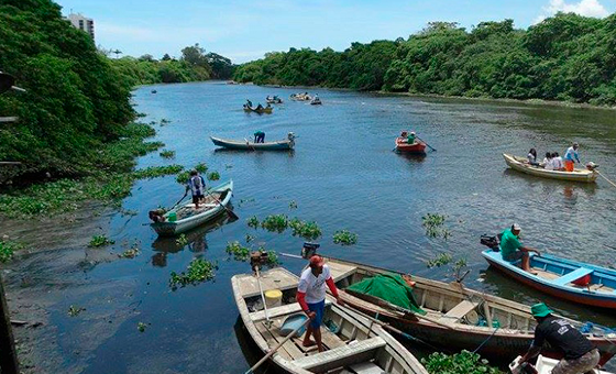 Preservação do Rio Capibaribe Preservação do Rio Capibaribe