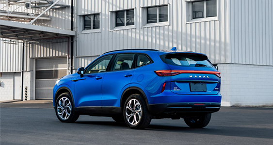 Assistência técnica