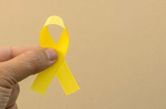 Maio Amarelo: você conhece os princípios da direção defensiva?