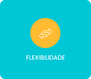 flexibilidade flexibilidade