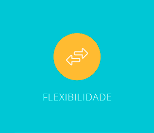 flexibilidade flexibilidade