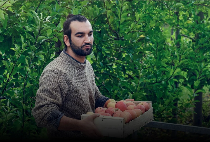 PRODUTOR RURAL PRODUTOR RURAL