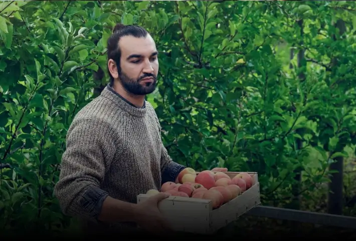 PRODUTOR RURAL PRODUTOR RURAL