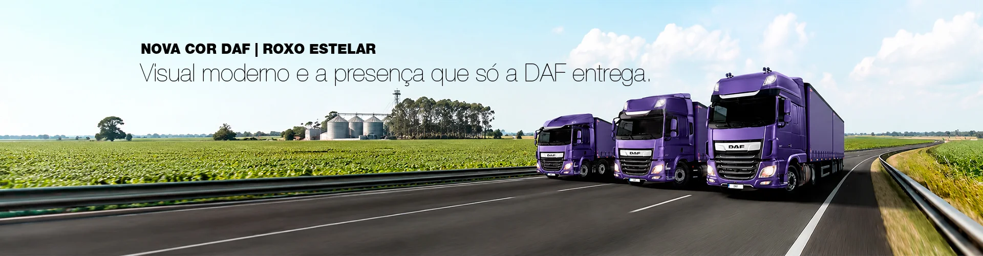 ROXO