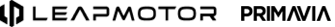 leap-black