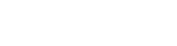 Nissan Proeste