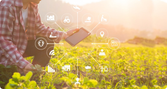 Farm Solutions Farm Solutions