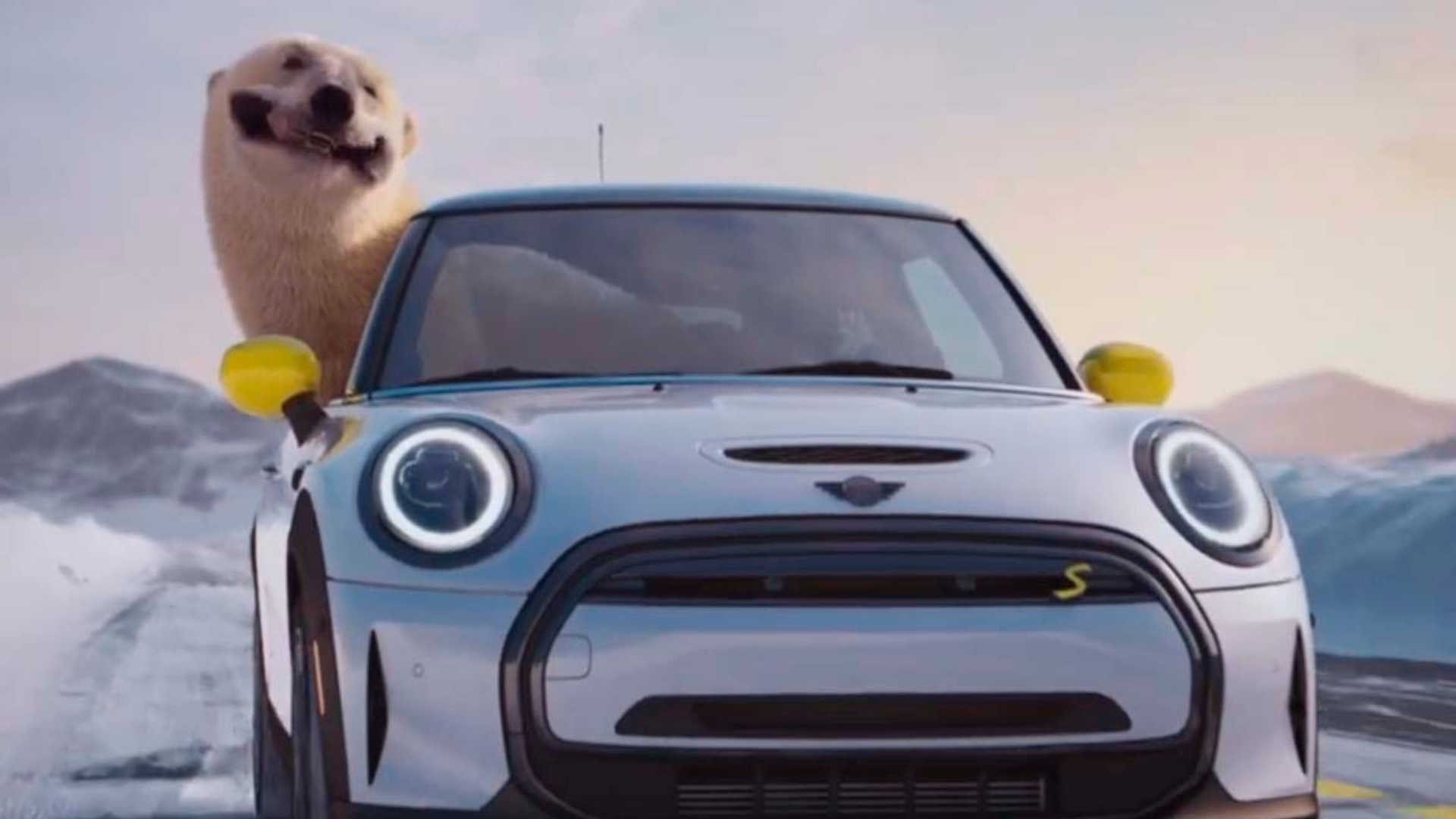 MINI EUA homenageia a Semana do Urso Polar com revelação de cores do MINI Cooper SE 2023
