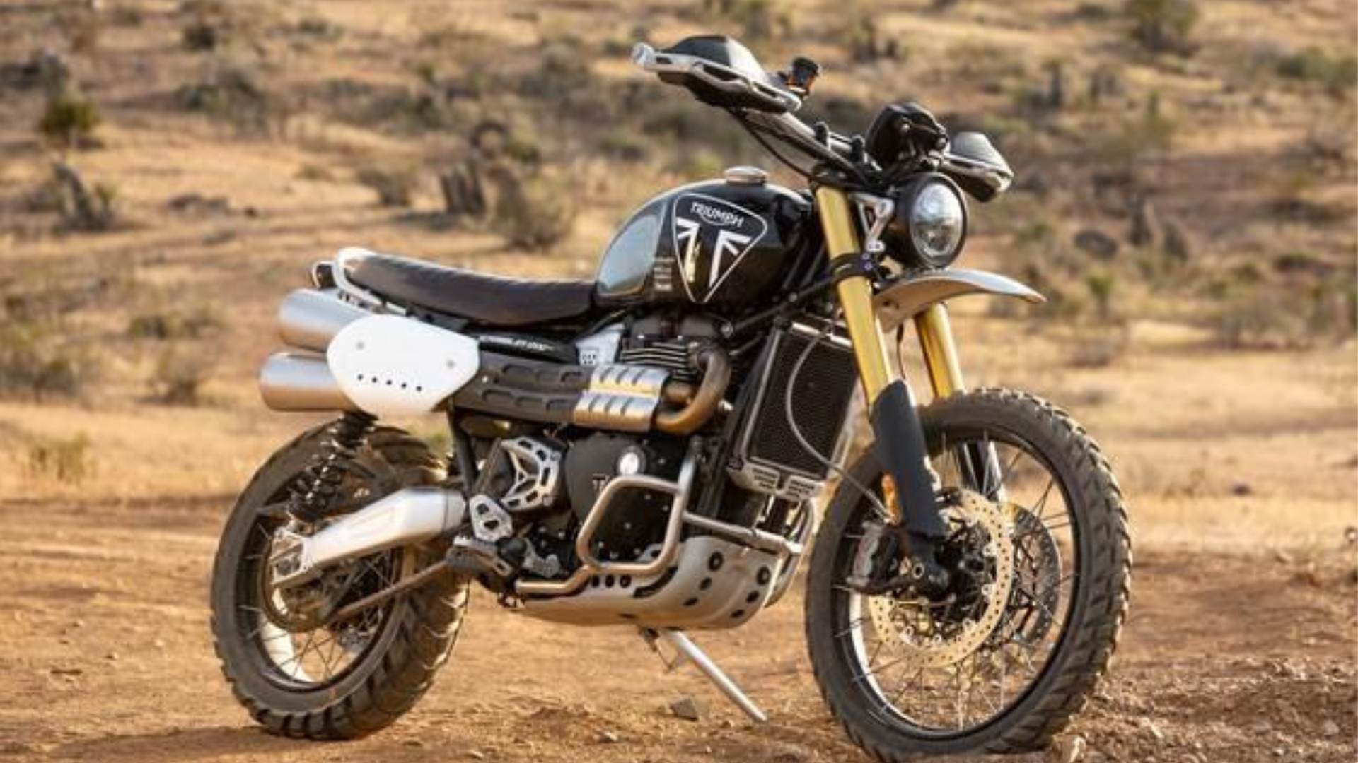 Triumph e o universo do motocross e enduro Triumph e o universo do motocross e enduro