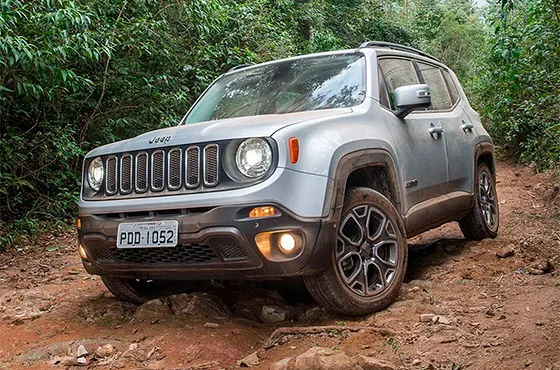 Renegade