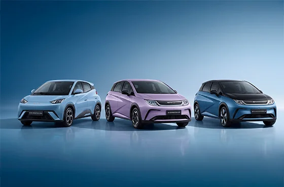 Família Dolphin: comparativo entre Mini, Standard e Plus